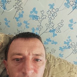 , 37, 