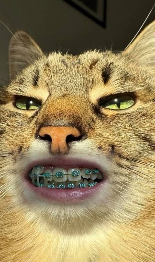 ����� ����� ����� ������������. ��� ���������� ������������ ���� ������, �������� � �� �������. ��� ... - 2