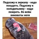 ���� ����� - �� �������!, �����, 54 ���� - ��������� 29 ���� 2024 � ������ ������ ��������