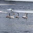 ���� �����, �������, 54 ���� - ��������� 16 ������� 2024 � ������ ������ ��������