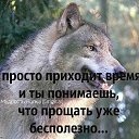  **     *,  -  16  2025