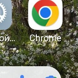 �����, ������, 64 ����