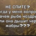 ���� ��������, �����-���������, 58 ��� - ��������� 15 ������ 2026 � ������ ���� ����������