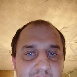 �����, 41 ���, ��������