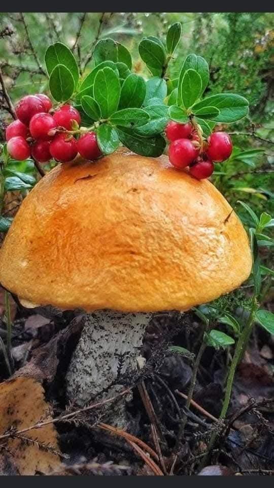 :)  :   ..       . - 2