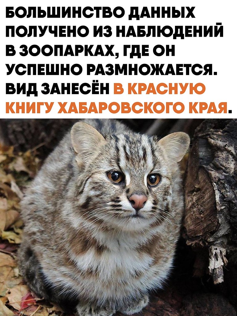     .   ,     .  ... - 2