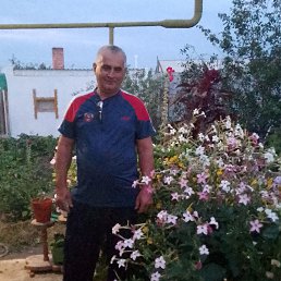 ����, 56 ���, ������