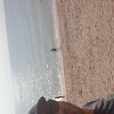 ���� ������, ���������, 41 ��� - ��������� 18 ������ 2025 � ������ ���� ����������