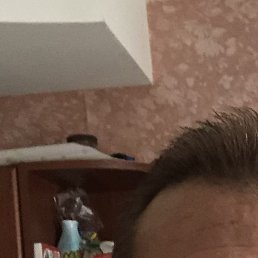 ������, �����-���������, 46 ���