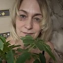 ���� ���, ����������, 47 ��� - ��������� 14 ������ 2026