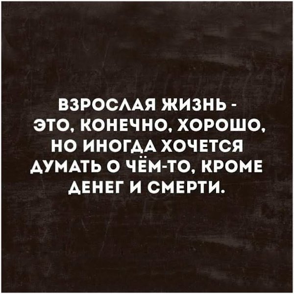 ������ �������� - 21 ���� 2026 � 00:55