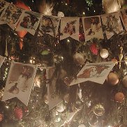 �����, 43 ����, ������