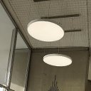 ���� ����, �������, 36 ��� - ��������� 9 ������ 2025 � ������ ���� ����������