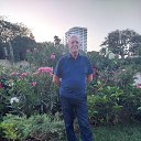 ���� Arif, ����, 72 ���� - ��������� 7 ���� 2024 � ������ ���� ����������