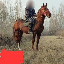 ���� ����, ����-���, 39 ��� - ��������� 6 ���� 2026
