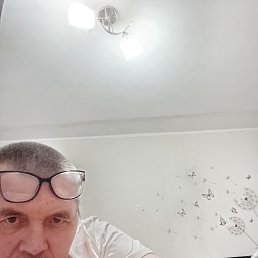 ���������., 43 ����, ���������