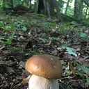 ���� ����, �����������, 67 ��� - ��������� 5 ������� 2024 � ������ ���� ����������