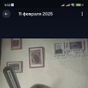  Koiehca, , 38  -  7  2025    