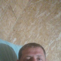 , 33, 
