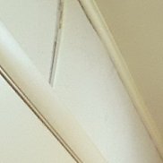 ��������, 53 ����, ������