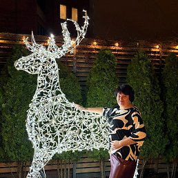 �������, ������, 52 ����