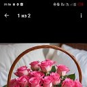 ���� ��������, ������, 56 ��� - ��������� 6 ������ 2026 � ������ ���� ����������