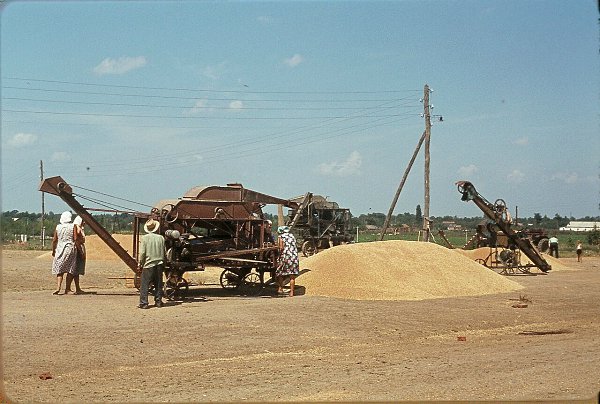 1964 - Краснодарский край - Станица Черноморская - Уборка хлеба - Фото Жак Дюпакье