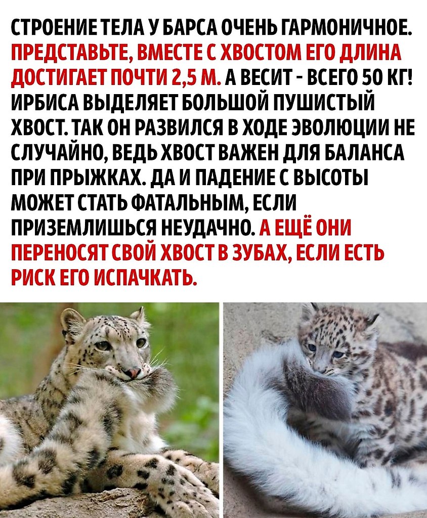     - 2