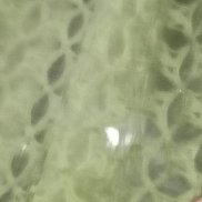 �������, 48 ���, �����