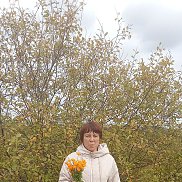 �����, 44 ����, �����������