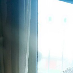 �����, ������, 50 ���