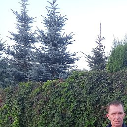 ����, ������, 44 ����