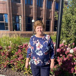 ���� ���������, ������, 66 ��� - ��������� 20 ����� 2026