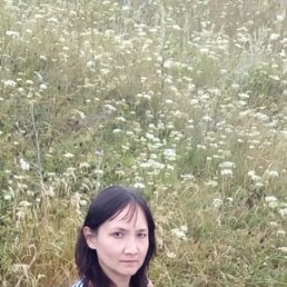 �������, 41 ���, ���������