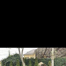 �����, ������, 39 ���