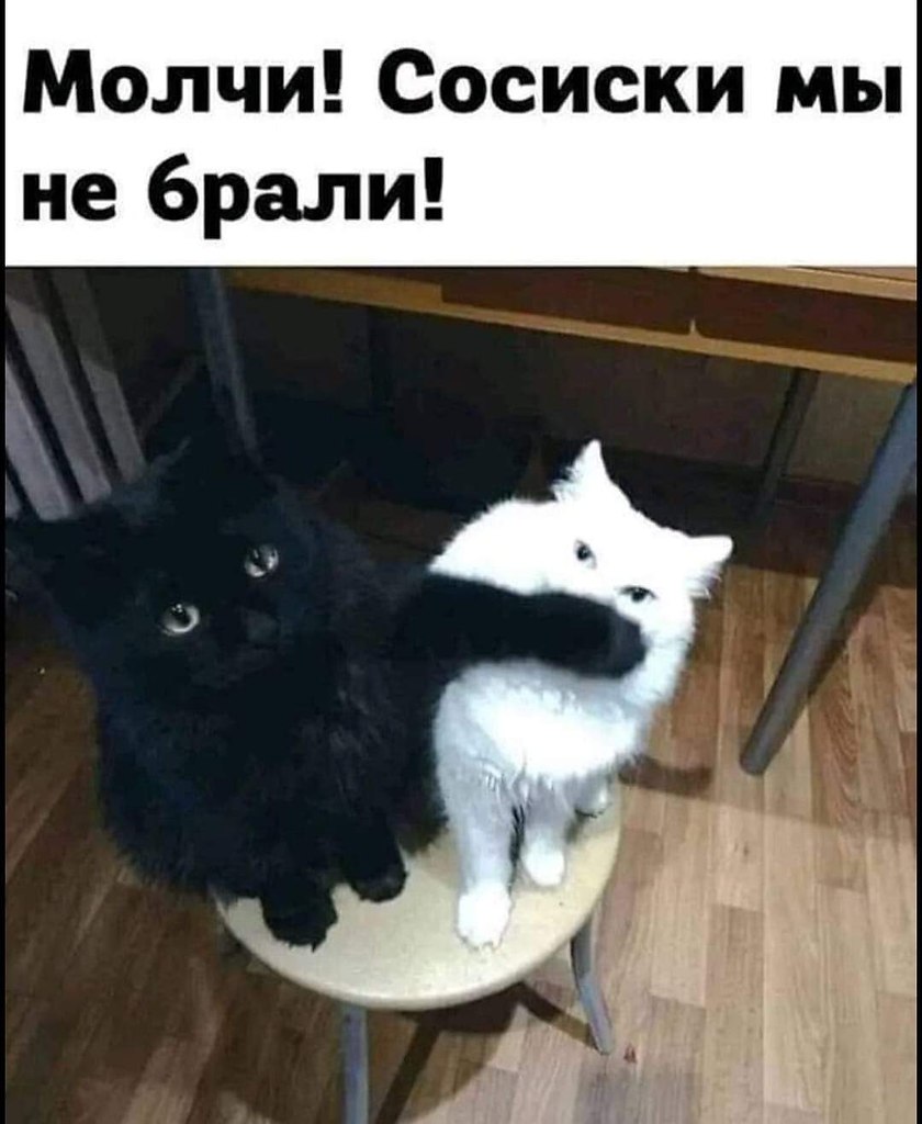   - 14  2024  04:38