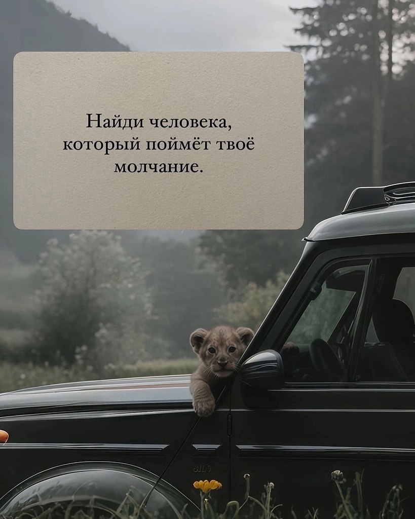 Just Business - 5 июля 2025 в 17:19 - 6