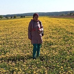 �����, ������, 43 ����