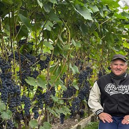 ����, 59 ���, ��������