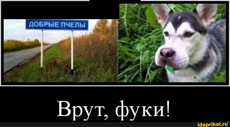   - 9  2024  20:57