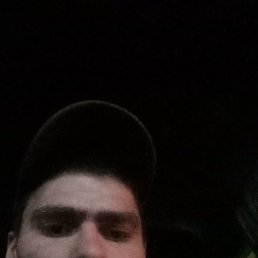 , 29, 