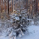 ���� Vladimir, ���������, 71 ��� - ��������� 4 ������ 2026 � ������ ���� ����������