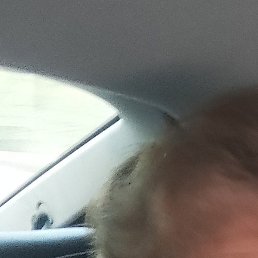 �����, ����������, 64 ����