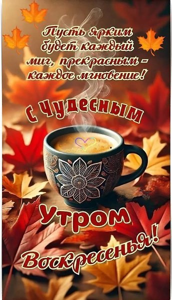 ОБО ВСЕМ - 12 октября 2025 в 10:01