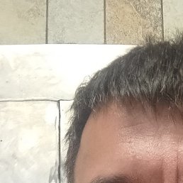 ����, ������, 39 ���