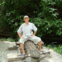 ������, ���������