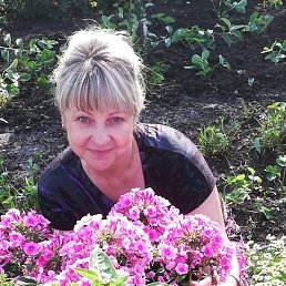 �������, ����������