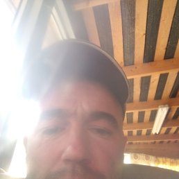 , 34, 
