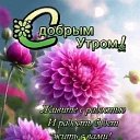 ���� ����, �������, 60 ��� - ��������� 17 ������ 2025 � ������ ���� ����������