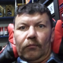 �����, �������, 49 ���